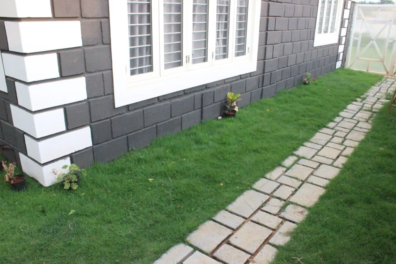 Interior Painting & Design